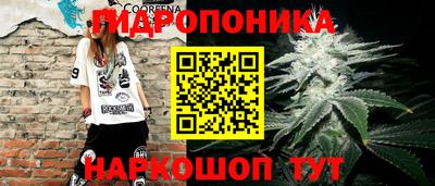 крисы Балашиха