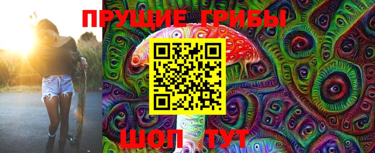 Псилоцибиновые грибы мухоморы Гулькевичи